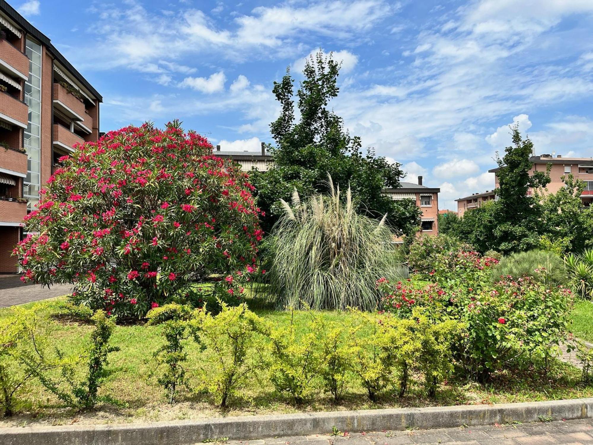 Zer051 Apartments Dossetti 23 Bolonya Dış mekan fotoğraf